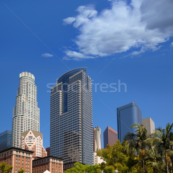 市中心 洛杉磯 廣場 棕櫚 業務 商業照片 © lunamarina