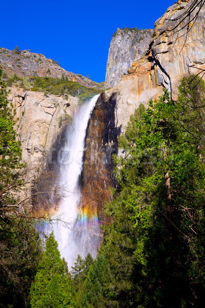 Yosemite Bridalveil fall waterfall California Stock photo © lunamarina