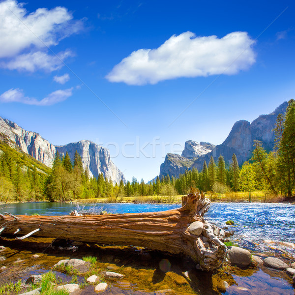 Yosemite Merced River el Capitan and Half Dome Stock photo © lunamarina