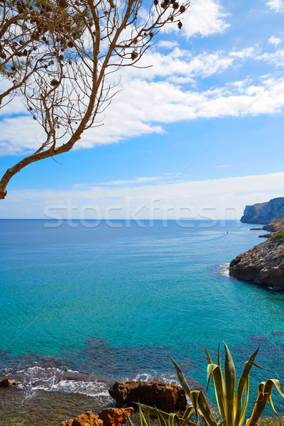 Plage eau nature paysage lumière mer [[stock_photo]] © lunamarina