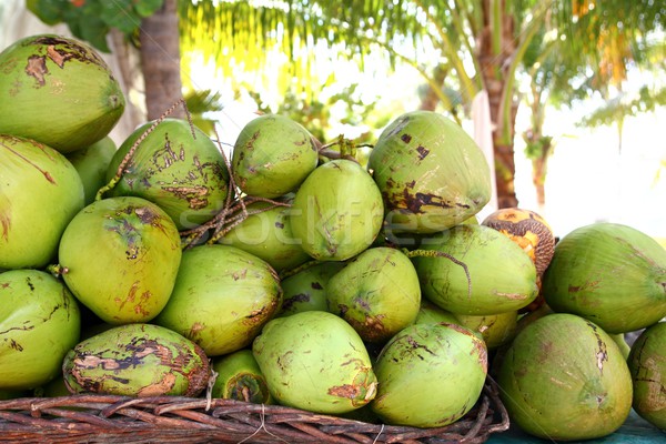 Fresh tender coconuts mound Caribbean Mexico Stock photo © lunamarina
