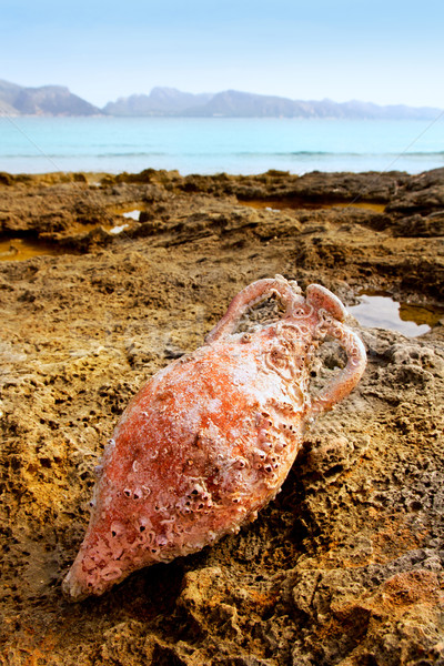 Amphora roman with marine fouling in Mediterranean Stock photo © lunamarina