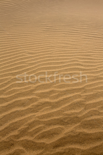 Stock photo: Desert dunes in Maspalomas Gran Canaria