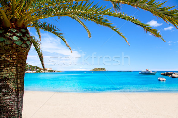 Ibiza Patja des Canar beach with turquoise water Stock photo © lunamarina