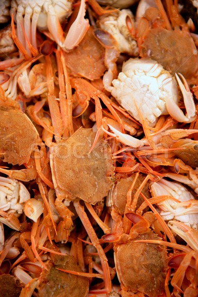 Crab from Mediterranean, texture pattern Stock photo © lunamarina