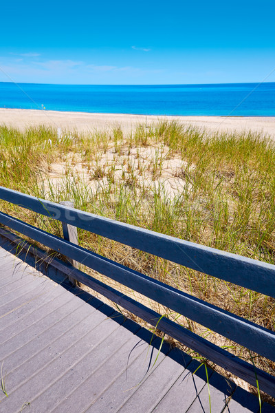 Cape Cod Sandy Neck Beach Massachusetts US Stock photo © lunamarina