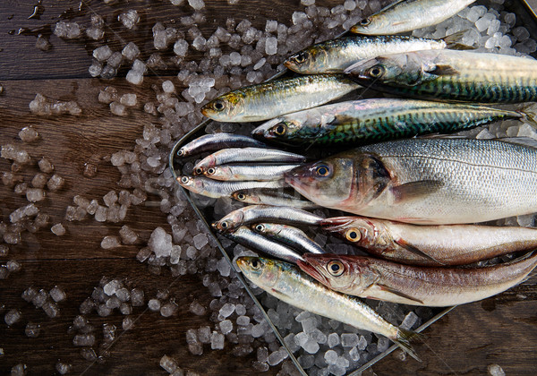 Fresh fish hake seabass sardine mackerel anchovies Stock photo © lunamarina