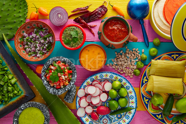 Mexican food mix with sauces nopal and tamale Stock photo © lunamarina