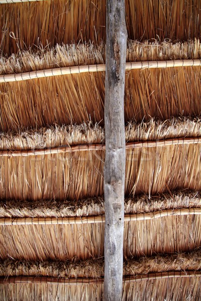 Hut palapa traditional sun roof wiev from above Stock photo © lunamarina