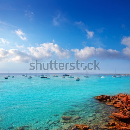 Cala saona in summer with many boats anchored Stock photo © lunamarina