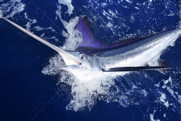Alb mare joc sportiv pescuit albastru Imagine de stoc © lunamarina