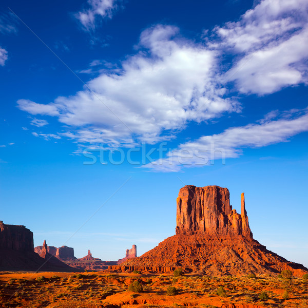 Monument Valley West Mitten Butte Utah Park Stock photo © lunamarina