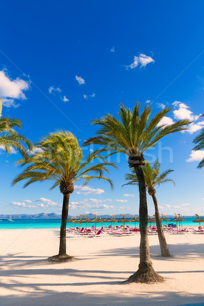 Stock photo: Mallorca Platja de Alcudia beach in Majorca 