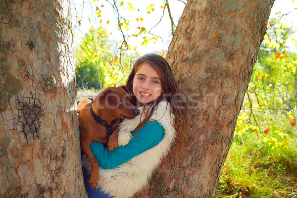 小女孩·狗 森林·树 快乐·山 little girl and dog in