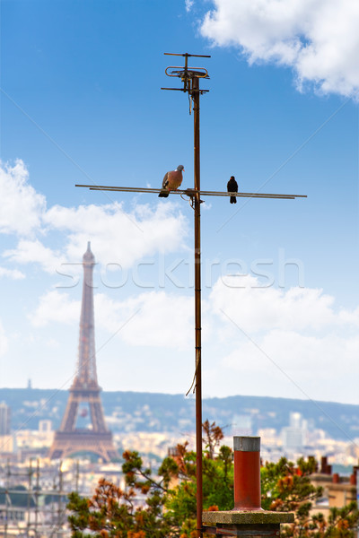 パリ スカイライン モンマルトル フランス 建物 ストックフォト © lunamarina