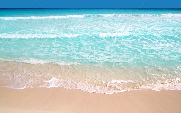 加勒比的 綠松石 海灘 完美 海 商業照片 © lunamarina