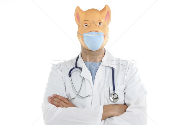 醫生 豬 面膜 豬 流感 比喻 商業照片 © lunamarina