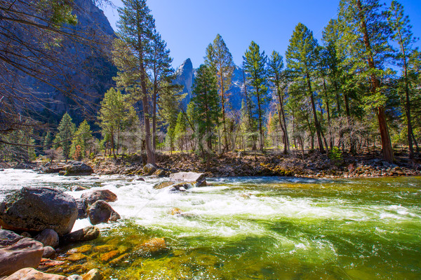 Yosemite National Park Merced River in California Stock photo © lunamarina