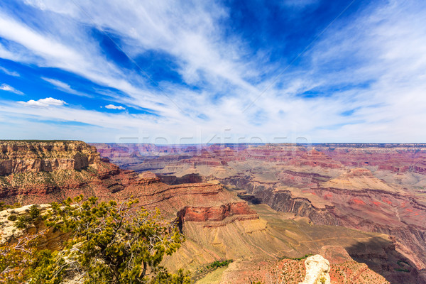 Arizona Grand Canyon Park Punkt USA Natur Stock foto © lunamarina