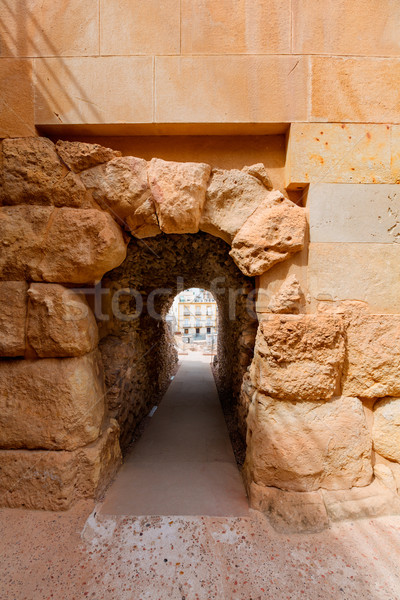 Roman amfiteatru Spania coridor constructii piatră Imagine de stoc © lunamarina
