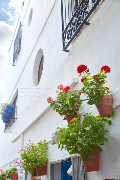 Mojacar Almeria white Mediterranean village Spain Stock photo © lunamarina