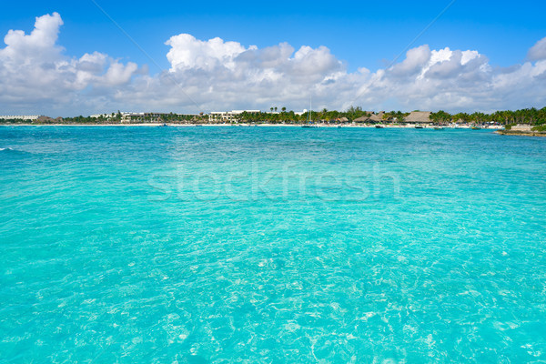 Akumal Caribbean beach in Riviera Maya Stock photo © lunamarina