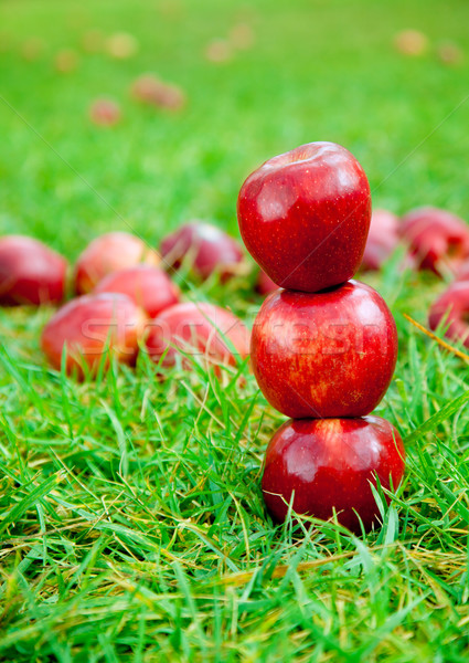 three red apples stacked in grass field Stock photo © lunamarina
