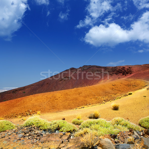 Canary islands in Tenerife Teide National Park  Stock photo © lunamarina