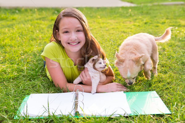 Foto stock: Nino · nina · cachorro · perro · deberes · césped