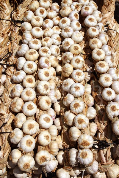 garlic rows food background pattern Stock photo © lunamarina