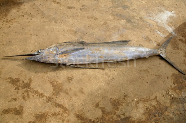 African Espadon sailfish dead fishermen catch Stock photo © lunamarina