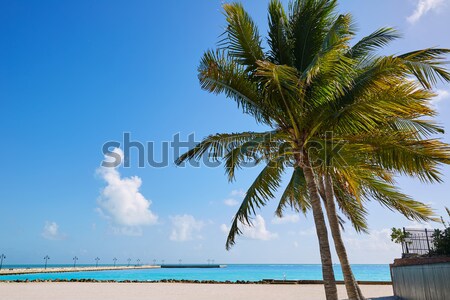 Key west florida beach Clearence S Higgs Stock photo © lunamarina