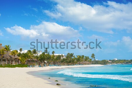 Akumal Caribbean beach in Riviera Maya Stock photo © lunamarina