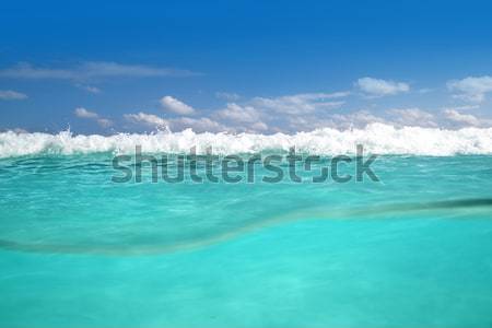 waterline caribbean sea underwater and blue sea Stock photo © lunamarina