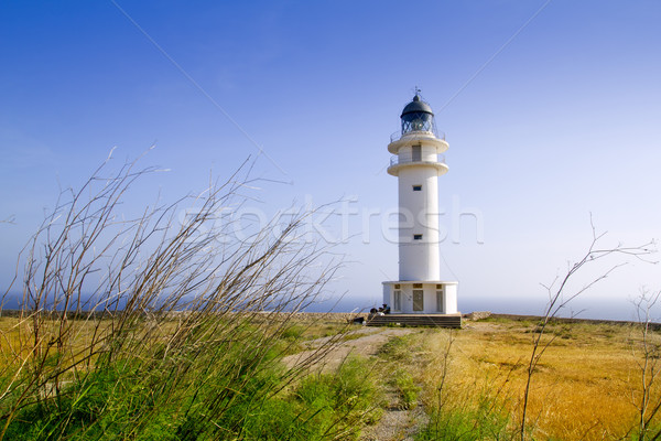 Barbaria berberia cape lighthouse Formentera meadow Stock photo © lunamarina