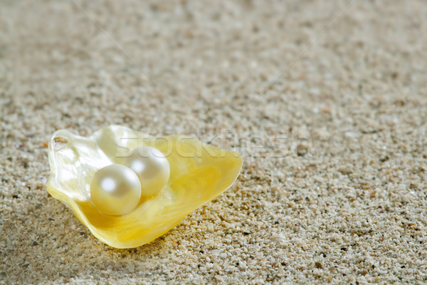 Photo stock: Plage · de · sable · perle · jaune · shell · été · tropicales