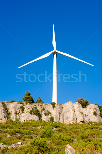 aerogenerator windmill in rocky mountain Stock photo © lunamarina