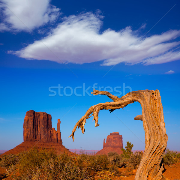 Monument Valley West and East Mittens Butte Utah Stock photo © lunamarina