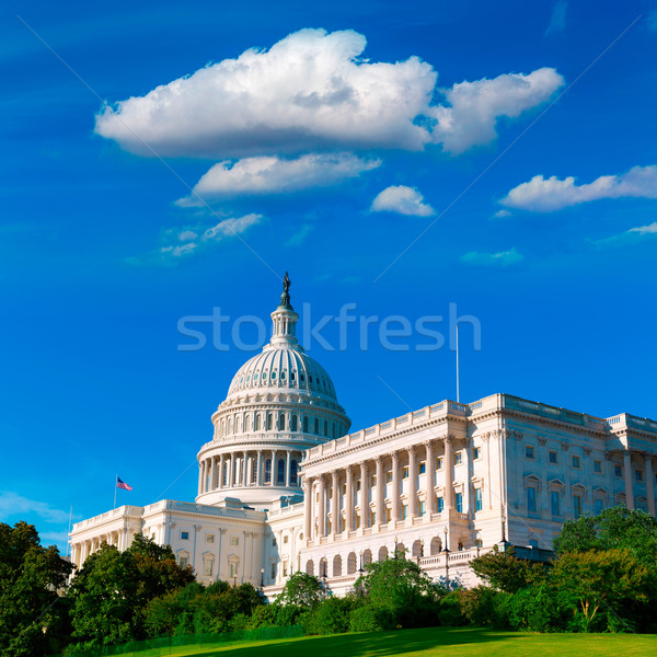 Capitol building Washington DC sunlight day US Stock photo © lunamarina