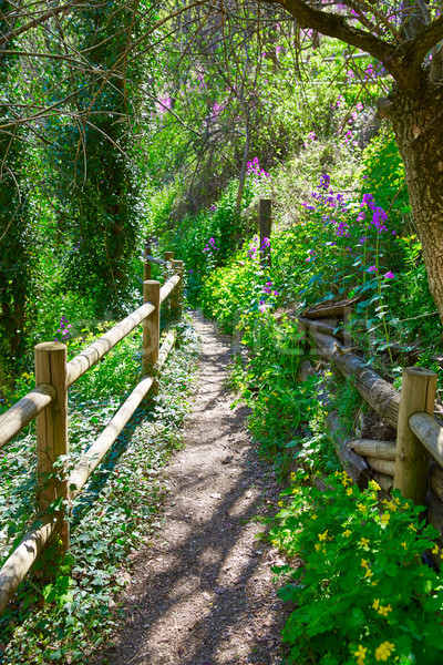 Cuenca spring forest in Canete wooden fence Stock photo © lunamarina