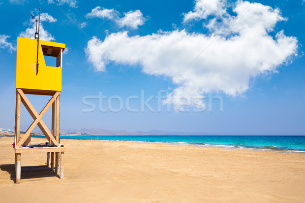 Strand kanarie hemel water natuur Stockfoto © lunamarina