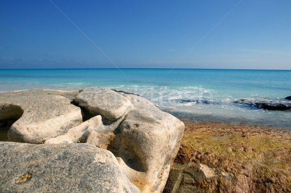 Caribbean plaj kıyı olağandışı gökyüzü Stok fotoğraf © lunamarina