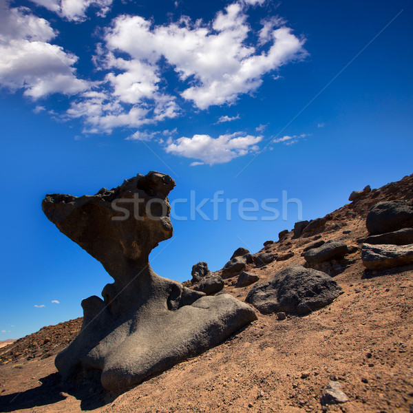 死 谷 公園 カリフォルニア 石 空 ストックフォト © lunamarina
