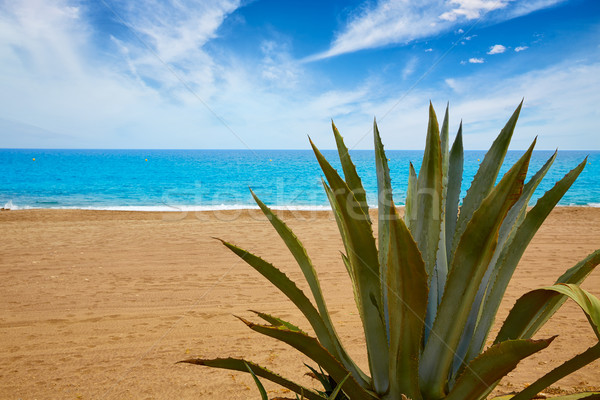 Almeria Mojacar beach Mediterranean sea Spain Stock photo © lunamarina