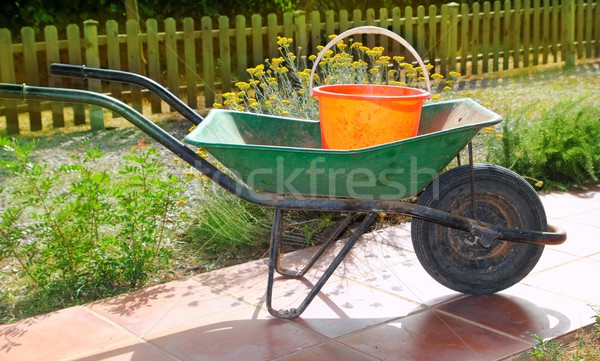 gardener green wheel barrow with orange pail Stock photo © lunamarina