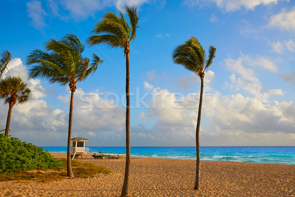 Fort lauderdale spiaggia sunrise Florida mattina USA Foto d'archivio © lunamarina