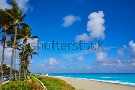 Palm Beach beach baywatch tower in Florida Stock photo © lunamarina