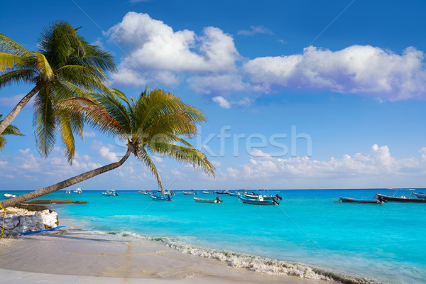 Playa del Carmen beach palm trees Mexico Stock photo © lunamarina