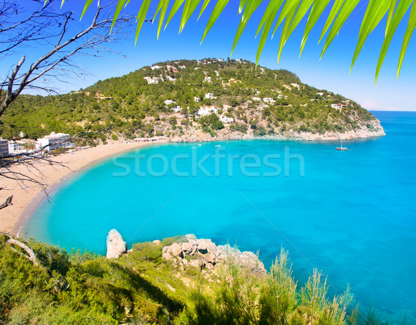 Aerial view of Caleta de Sant Vicent in Ibiza island Stock photo © lunamarina