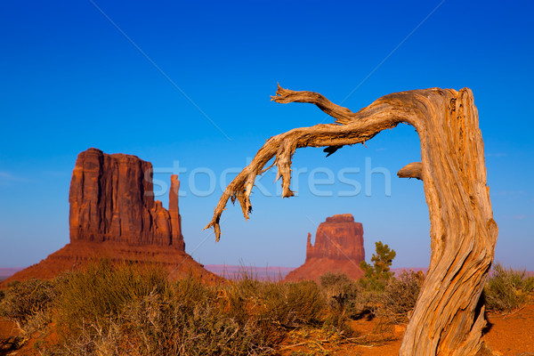 Monument Valley West and East Mittens Butte Utah Stock photo © lunamarina